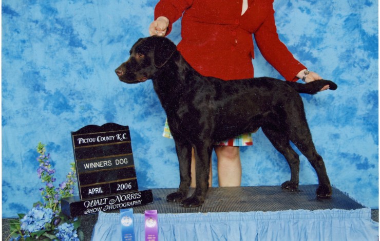 Beau CH photo_edited.jpg